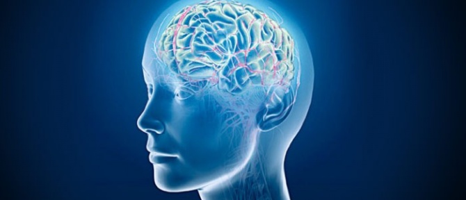 ለአንጎል ጎጂ የሆኑ ልማዶች