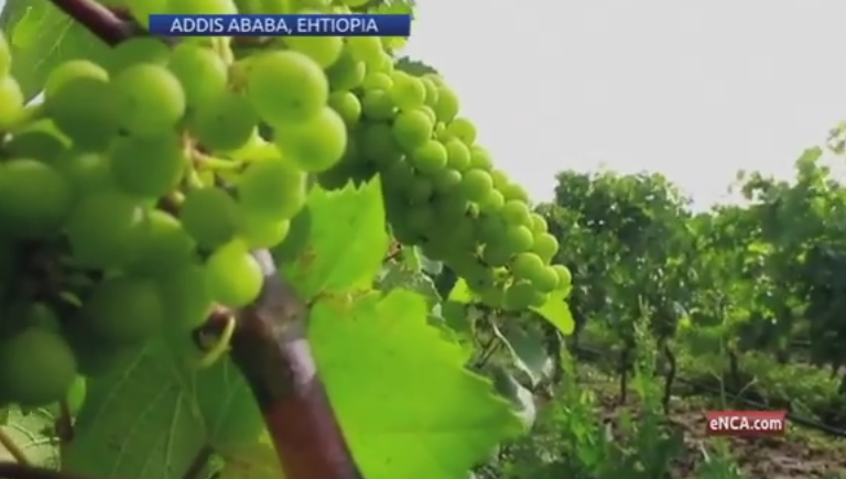 Wine gives Ethiopia a boost