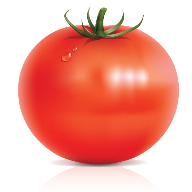 Tomato