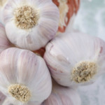 The protective pros of garlic