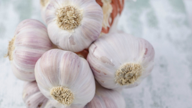 The protective pros of garlic